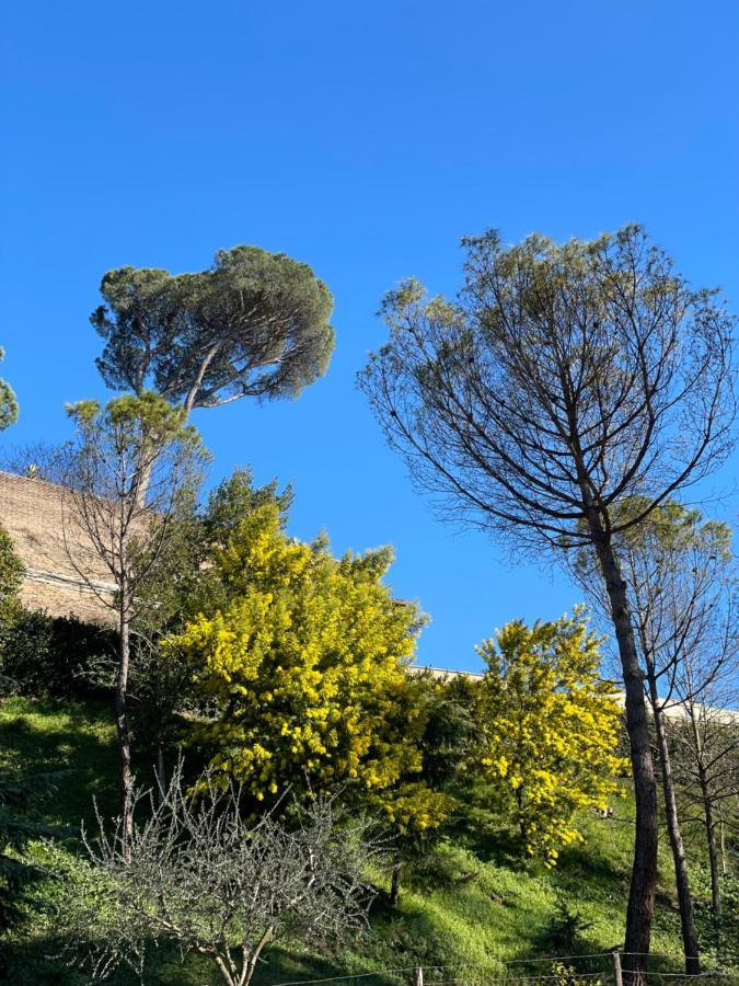 Vatican Green Holidays House Rome Exterior photo